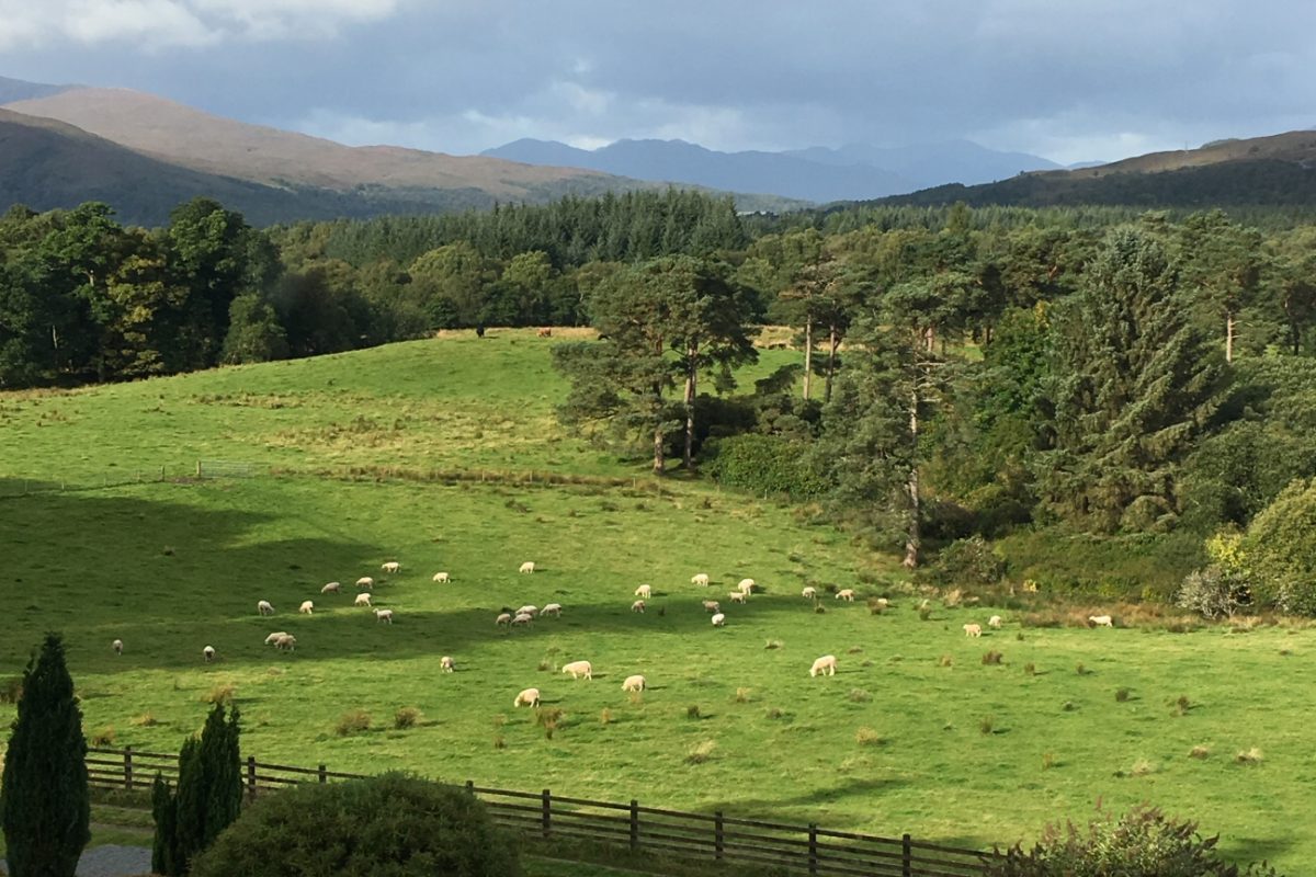 Inverlochy room with a view-CROP&SHRUNK