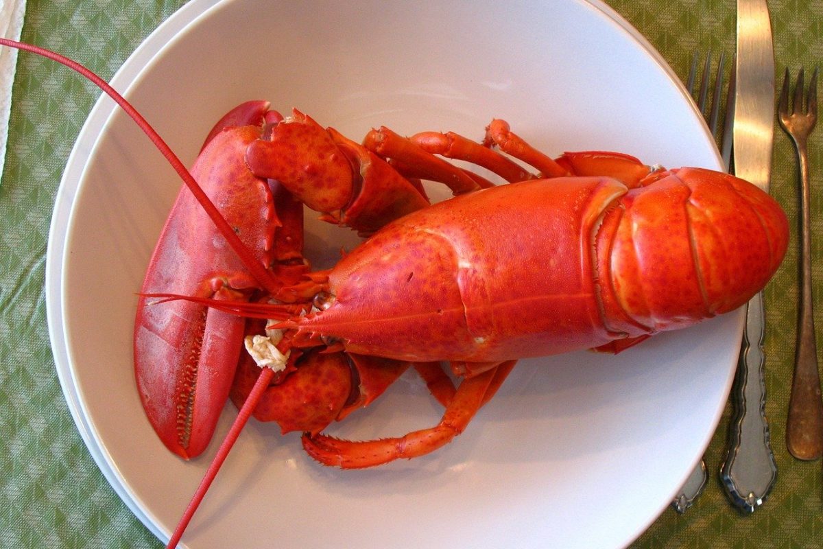 lobster-1089140_1280