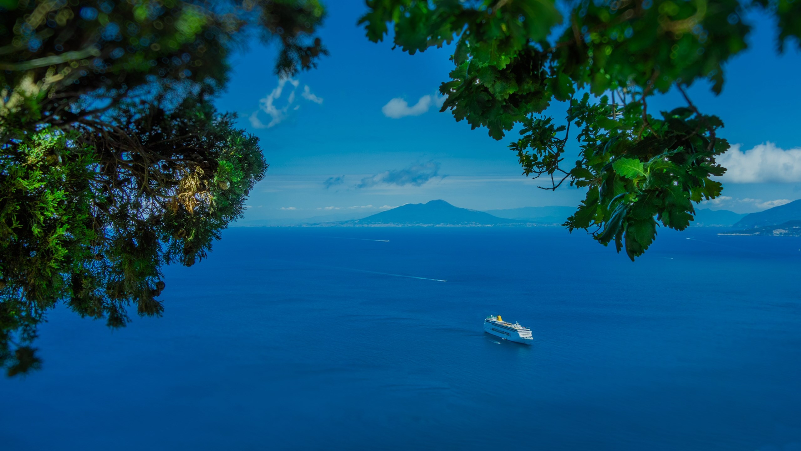 Cruising is Cool Again