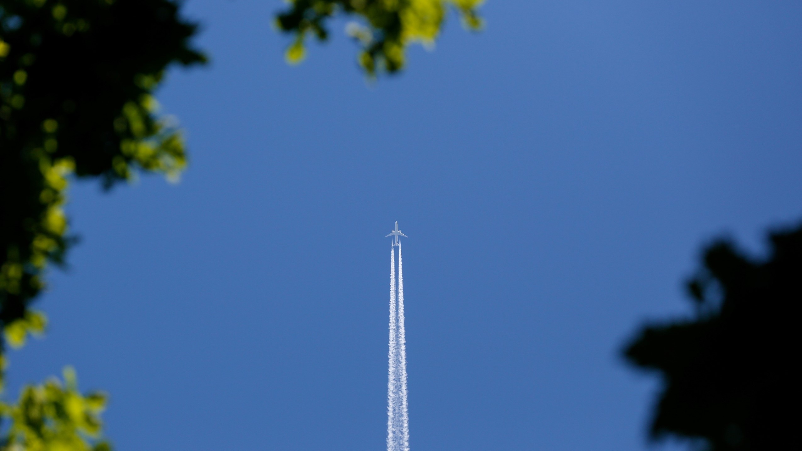 And Fly Away