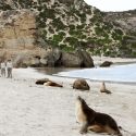 Southern-Ocean-Lodge_Kangaroo-Island_Seal-Bay-Group-compressor