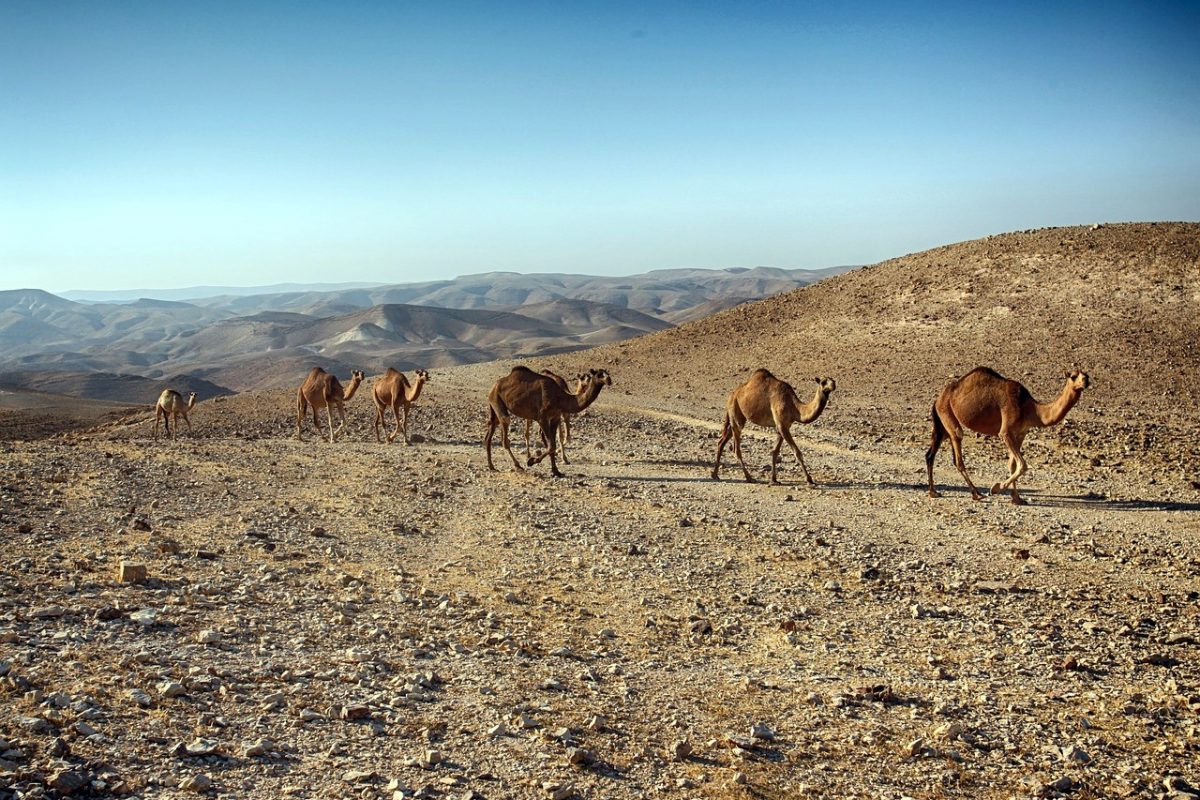 dead-sea-1930707_1280