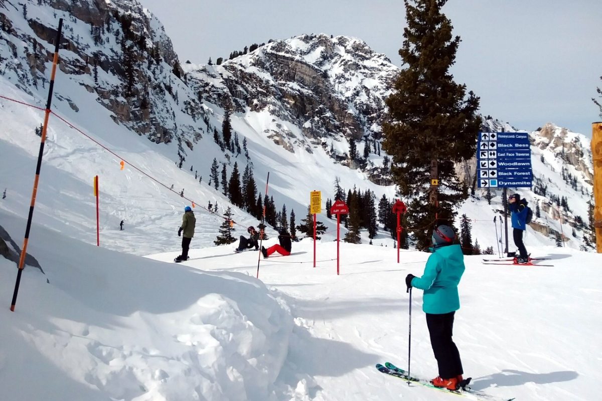 Sundance slope 2-CROP